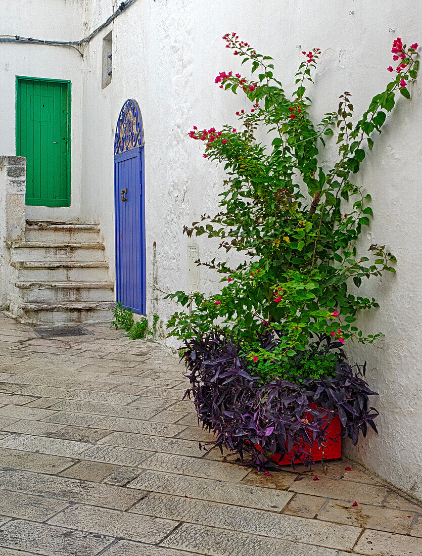 Italy, Puglia, Brindisi, Itria Valley, Ostuni. Potted plants and colorful doors along the alleys and narrow streets of the white city of Ostuni.