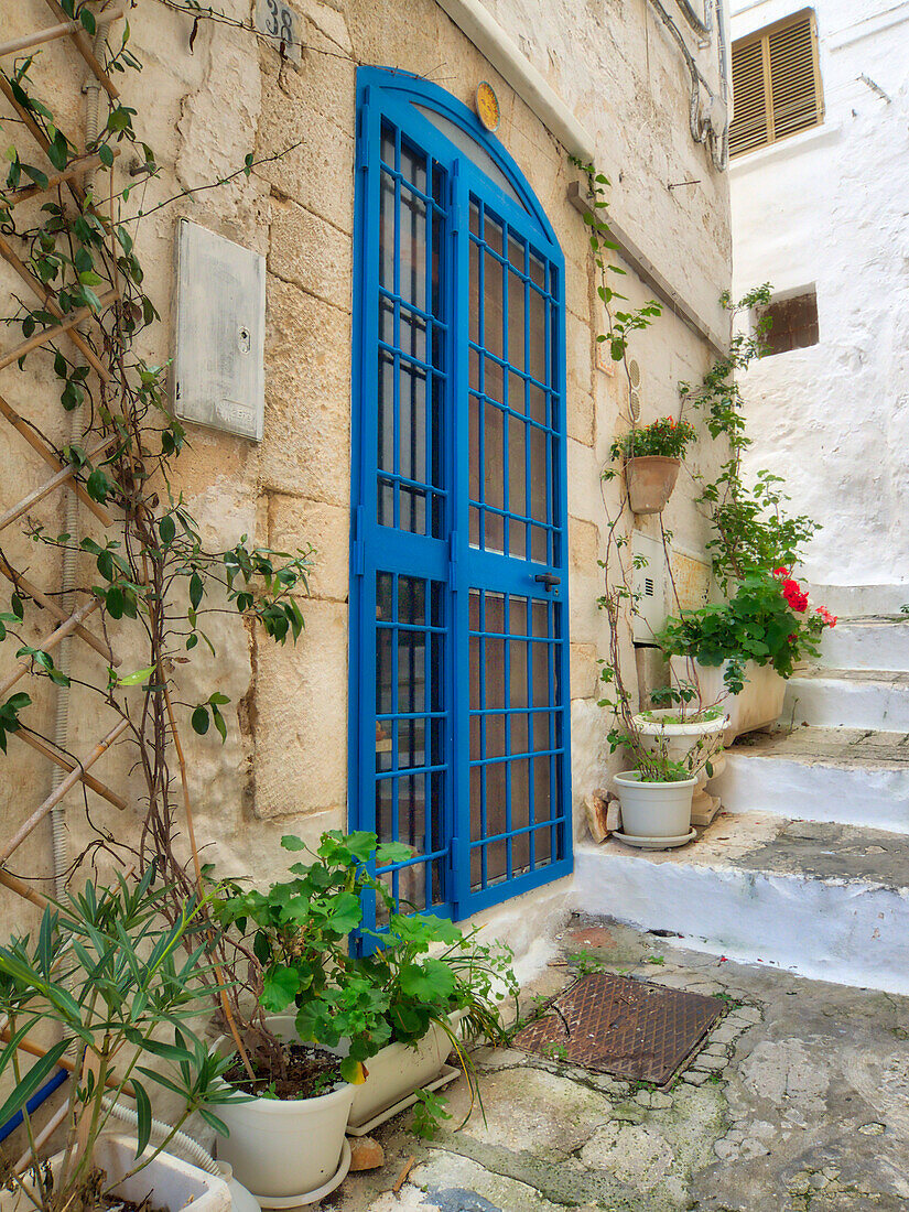 Italien, Apulien, Brindisi, Itria-Tal, Ostuni. Blaue Tür und Topfpflanzen in den Gassen und Straßen der Altstadt von Ostuni.