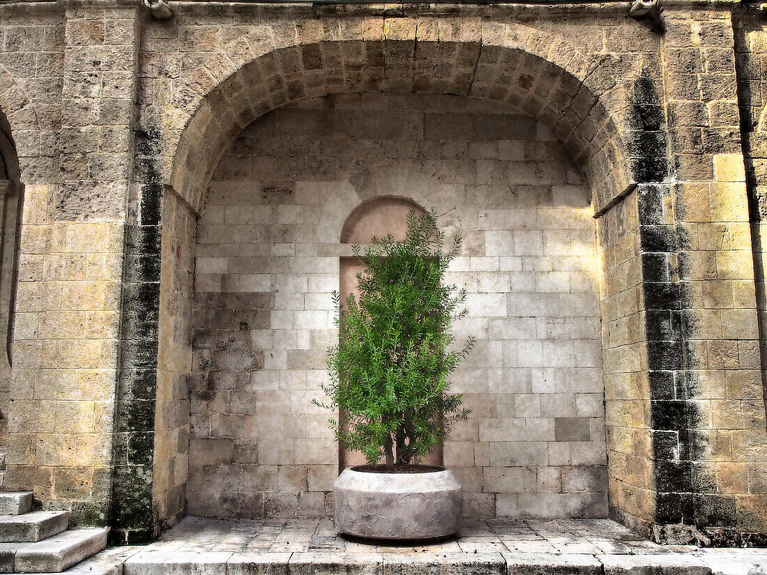 Italien, Bari, Apulien, Monopoli. Bogen mit Topfpflanzen im Innenhof nahe der Basilika Madonna della Madia.