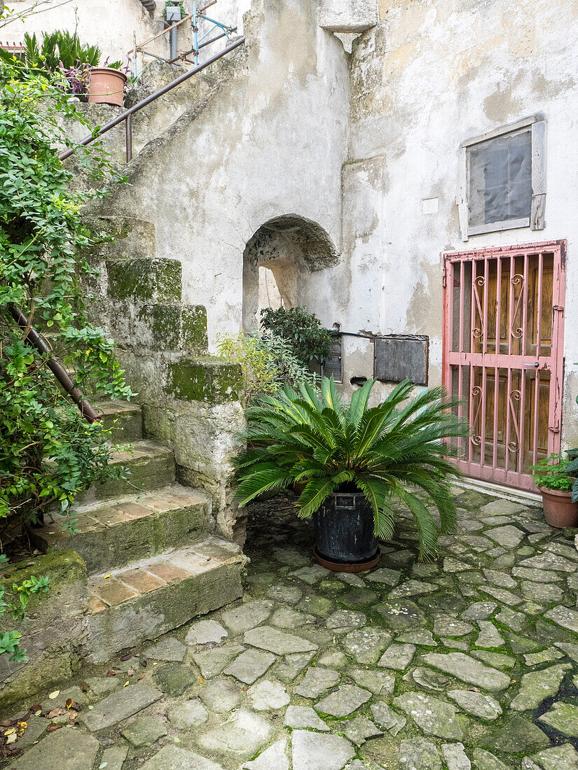 Italy, Basilicata, Matera. Plants adorn the outside walls of the Sassi houses.