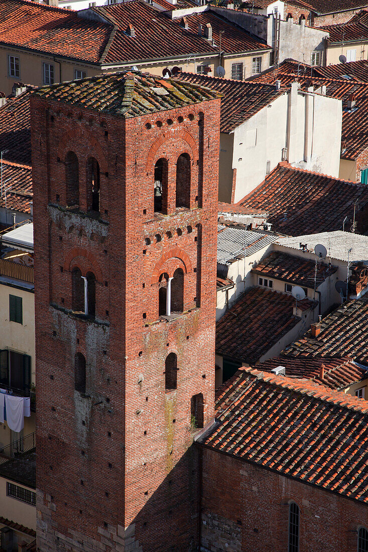 Italy, Tuscany, Lucca. The bell tower of the church San Pietro Somaldi, a Gothic-style, Roman Catholic church located on a Piazza.