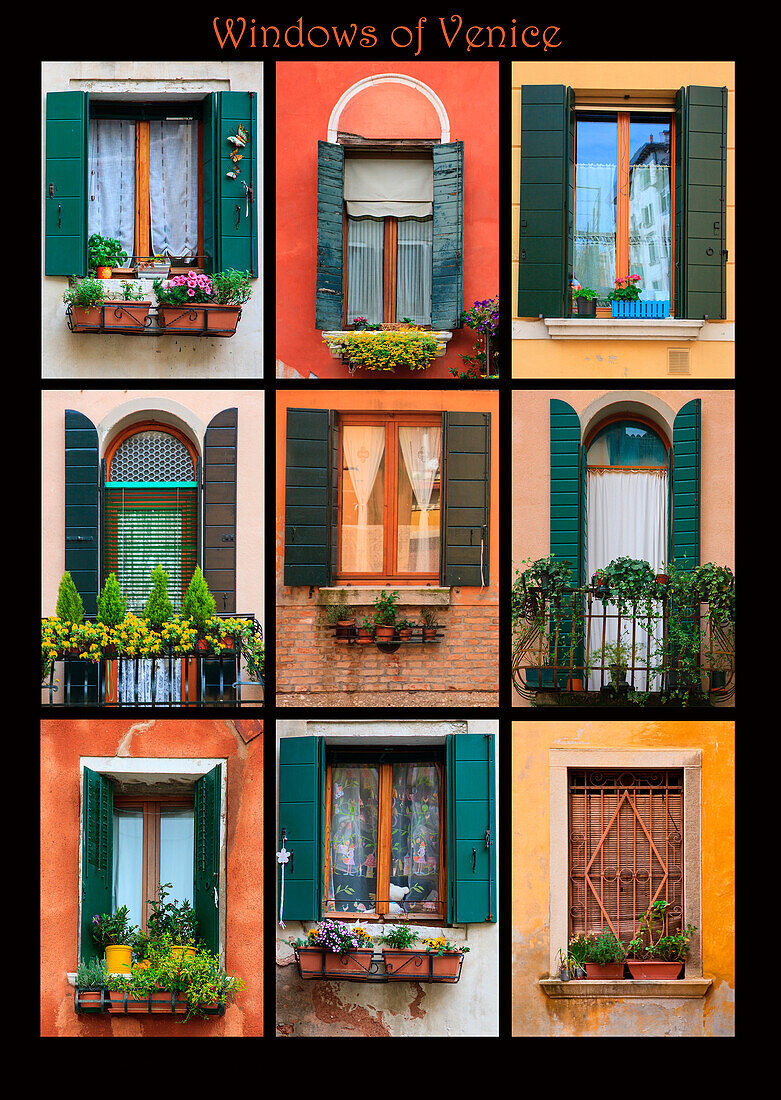 Dieses Plakat zeigt Fenster von Wohnhäusern in ganz Venedig mit Blumenkästen.