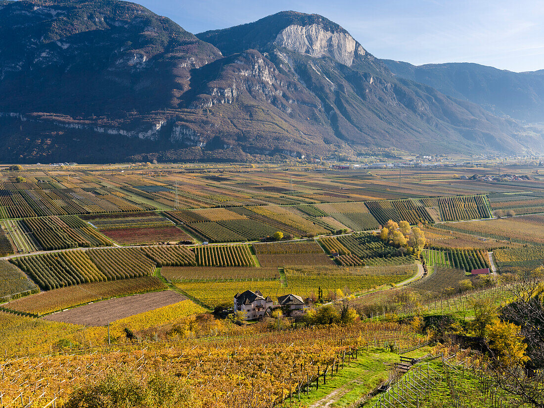 Fruit growing and viniculture in South Tyrol, Alto Adige. (Large format sizes available)