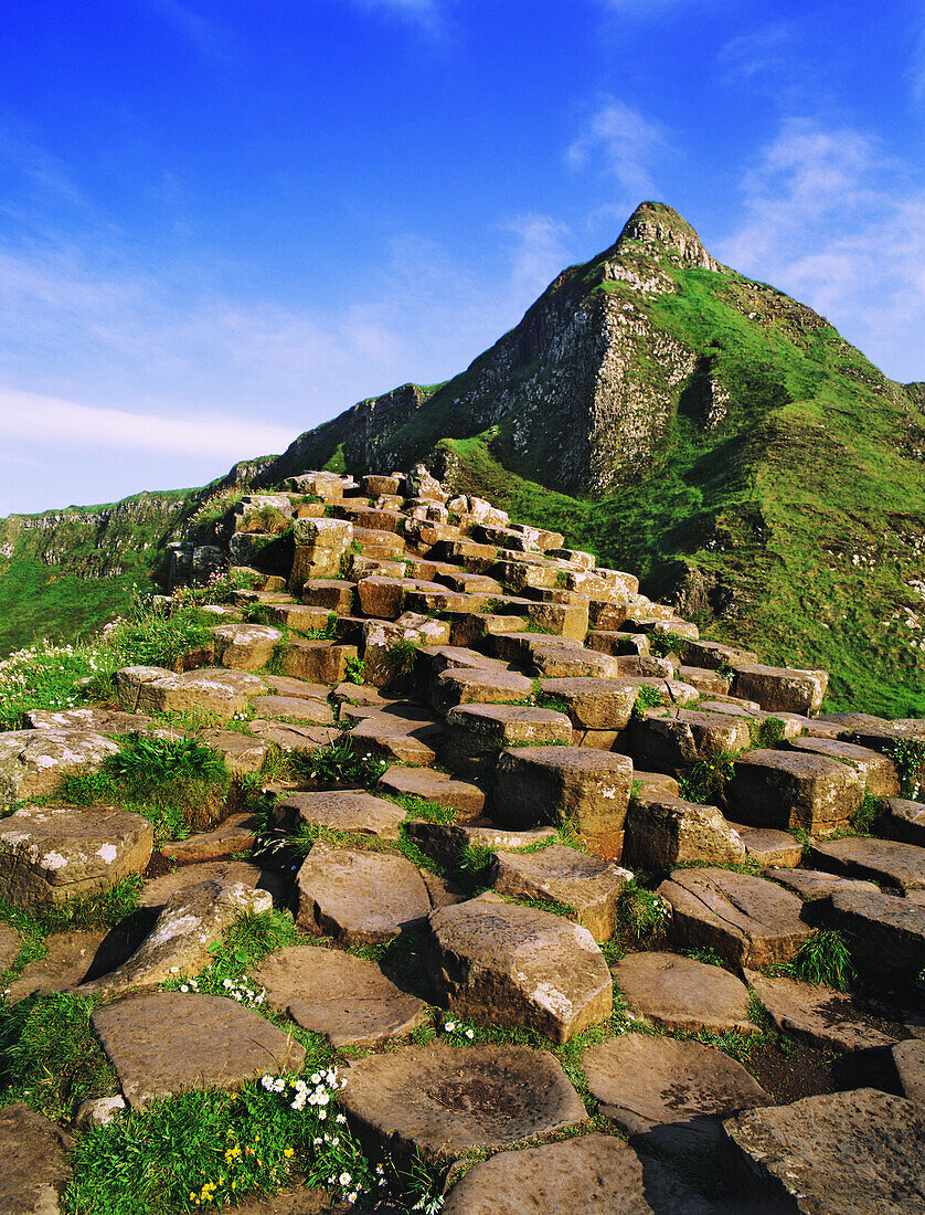Irland, Grafschaft Antrim. Basaltsäulen am Giant's Causeway