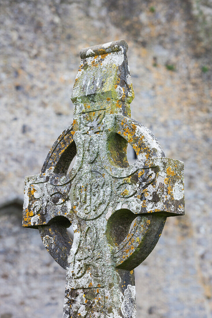 Ireland, County Tipperary, Cashel, Rock of Cashel, 12th-13th religious buildings, Celtic cross