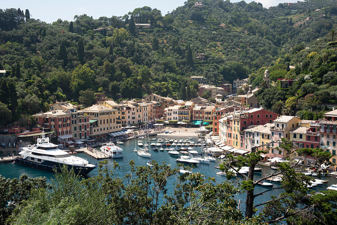Italien, Provinz Genua, Portofino. Gepflegtes Fischerdorf am Ligurischen Meer, pastellfarbene Gebäude mit Blick auf den Hafen