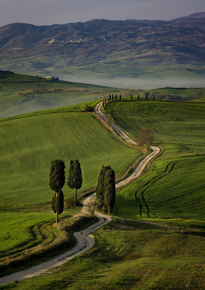 Zypressen und kurvenreiche Straße zur Villa bei Pienza, Toskana, Italien