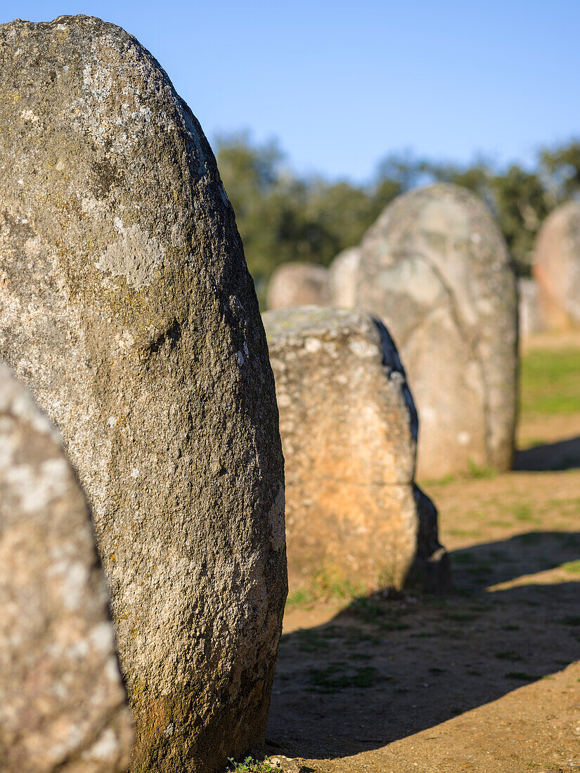 Almendres Cromlech (Cromeleque dos Almendres), ein ovaler Steinkreis aus dem späten Neolithikum oder der frühen Kupferzeit. Portugal