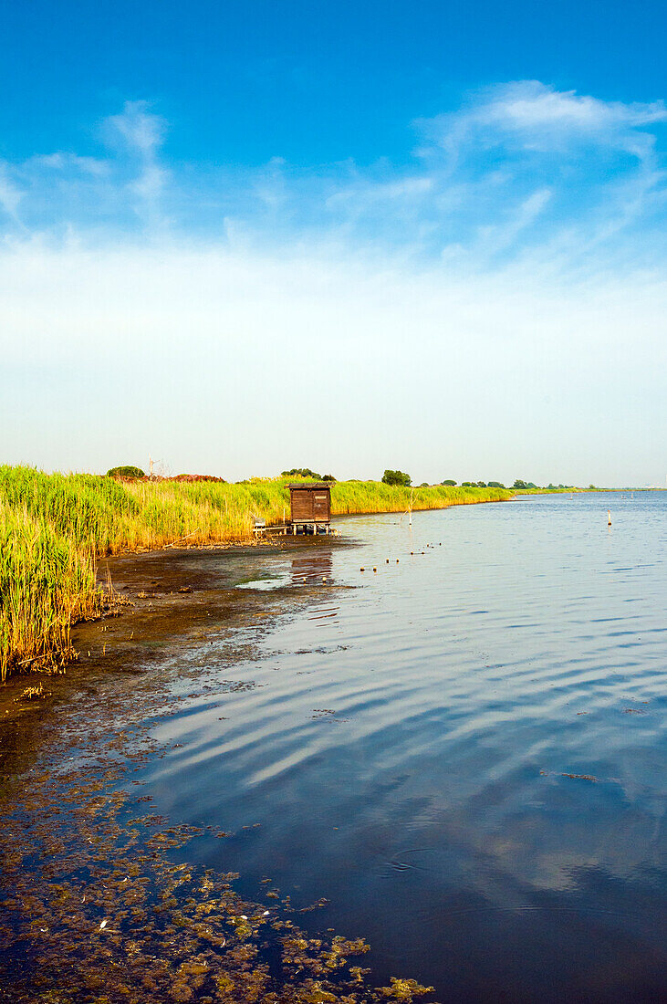 The WWF Oasis of Lake Burano, Capalbio, Tuscany, Grosseto Province, Italy