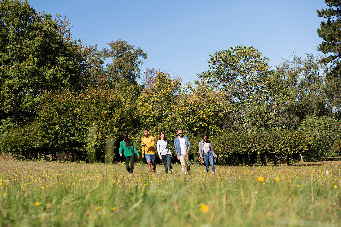 Happy young friends walking through meadow in public park