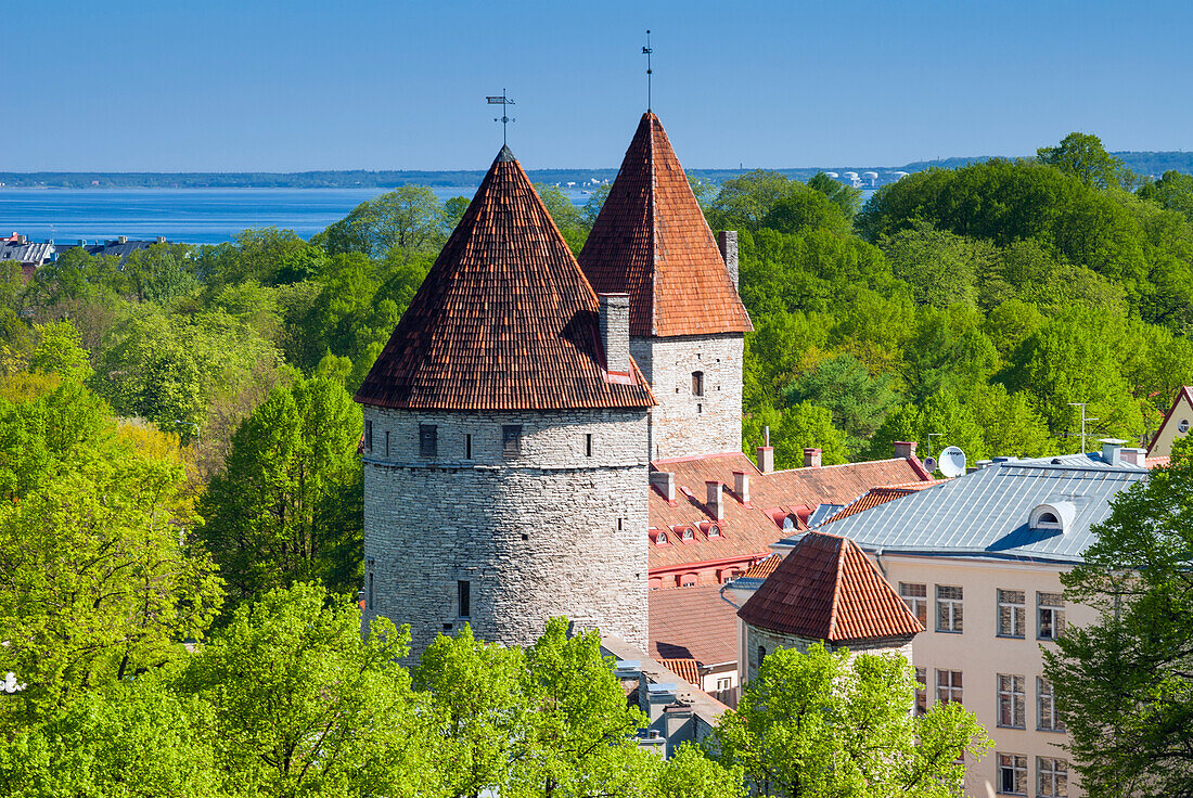 Blick auf Tallinn vom Toompea-Hügel aus, Altstadt von Tallinn, UNESCO-Weltkulturerbe, Estland, Baltikum