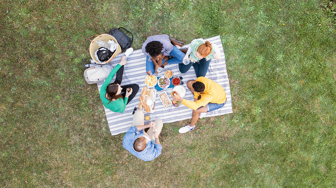 Fröhliche junge Freunde machen ein Picknick im Garten