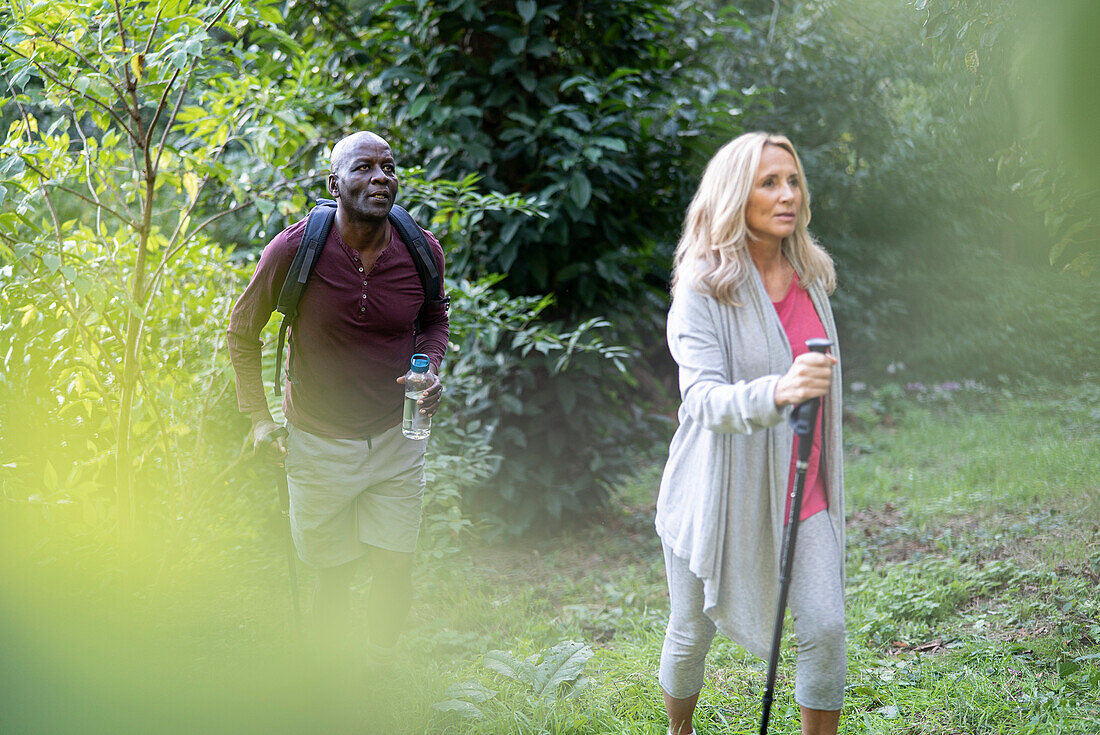 Senior friends doing hiking in the woods during daytime