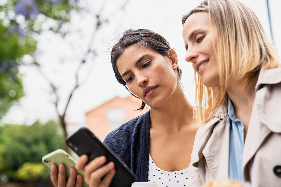 Low angle side view of two female entrepreneurs exchanging information on their smartphones while working outdoors