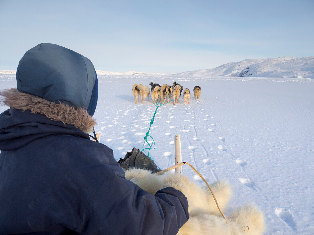 Inuit-Jäger auf Hundeschlitten, in traditionellen Hosen und Stiefeln aus Eisbärenfell auf dem Meereis der Melville-Bucht bei Kullorsuaq in Nordgrönland. Nordamerika, dänisches Hoheitsgebiet