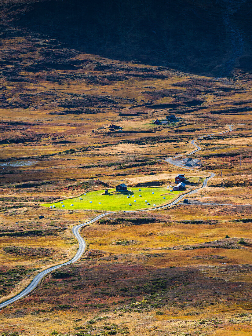 High angle view of road through meadow