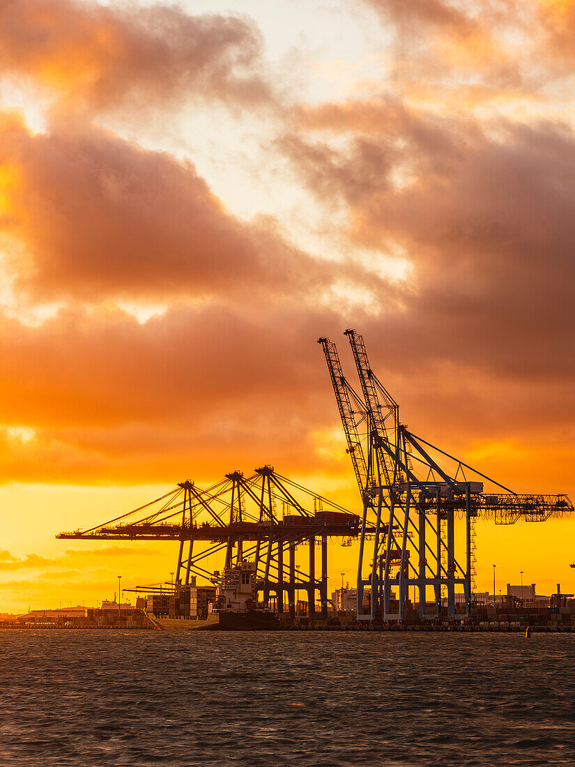 Shipping cranes at sunset