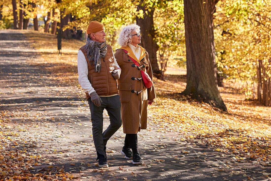 Senior couple walking in autumn park