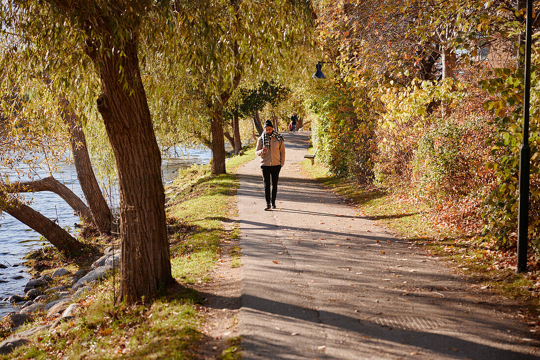 Mann spaziert im Herbstpark