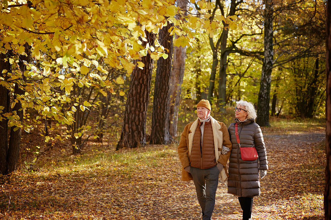 Senior couple walking in autumn park