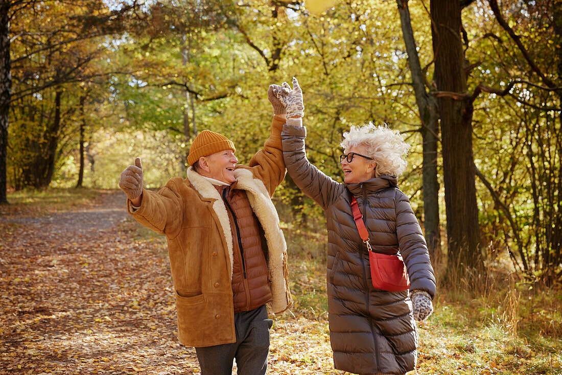 Glückliches Seniorenpaar im Herbstpark