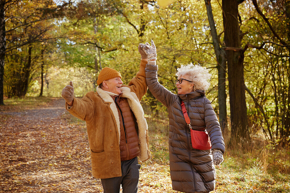 Happy senior couple in autumn park