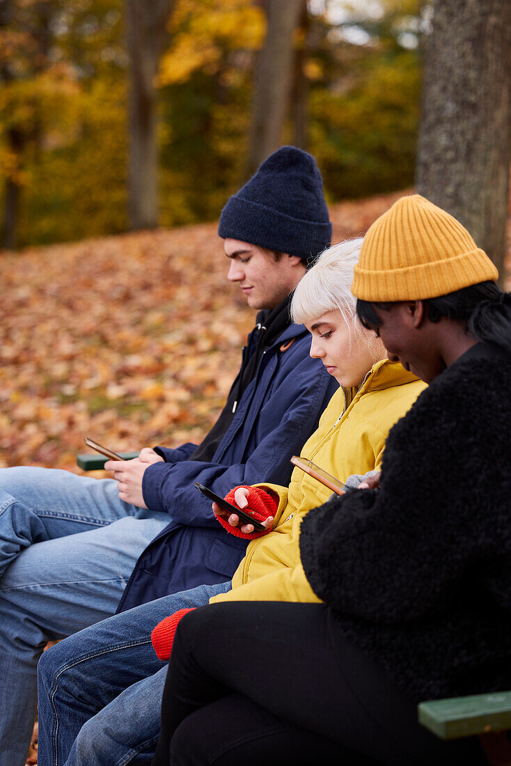 Three friends in park using smartphones