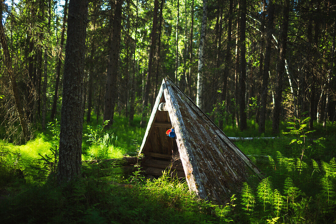 Wooden hut in forest