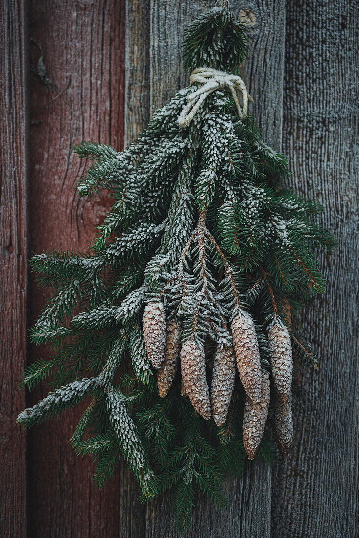 Bunch of spruce branches hanging on door