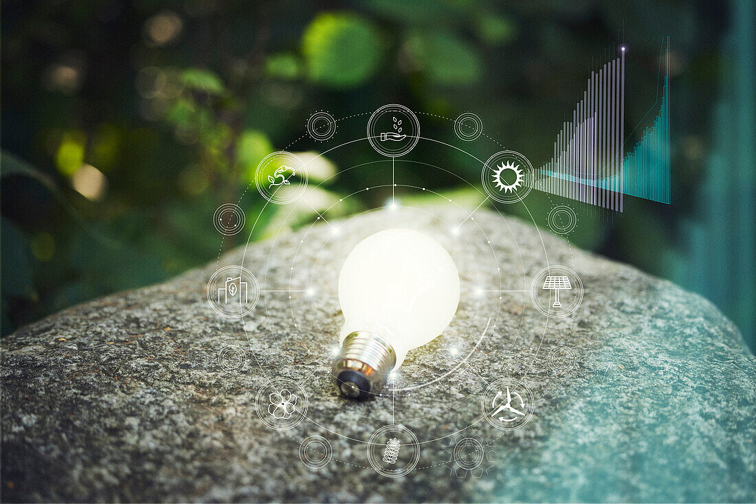 Illuminated light bulb on rock