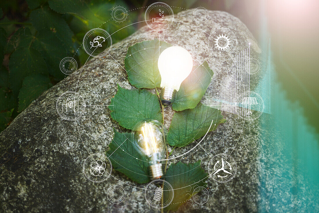 Illuminated light bulbs on rock