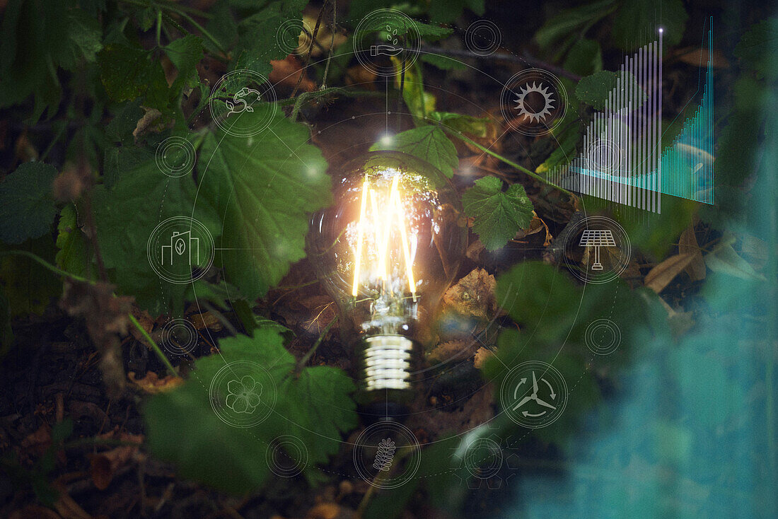 Illuminated light bulb among leaves