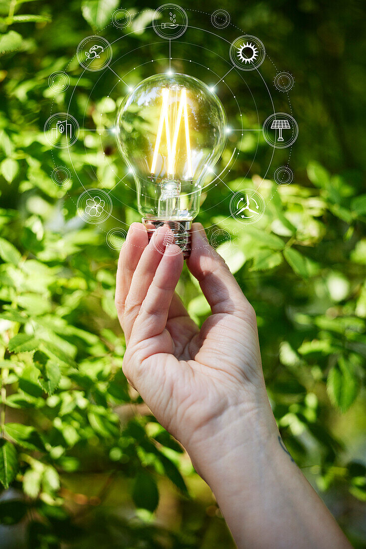 Hand holding lightbulb