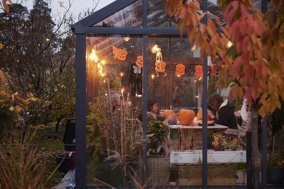 Girls carving pumpkins in greenhouse