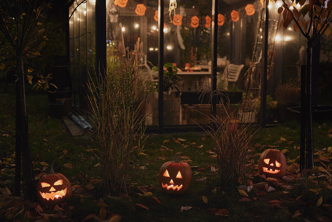 Carved Jack-o-lanterns in garden