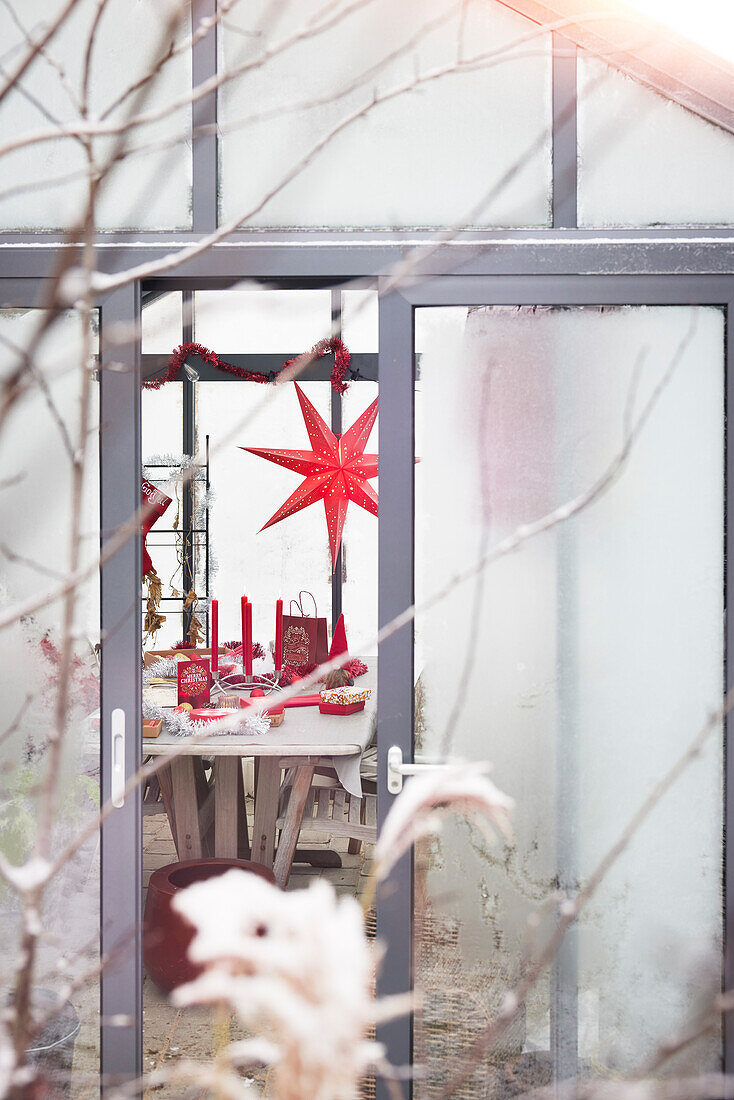 Red Christmas star and decorations in greenhouse