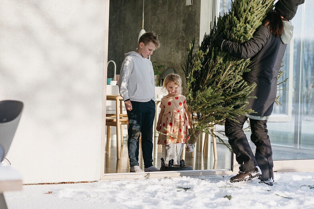 Frau trägt Weihnachtsbaum vor dem Haus