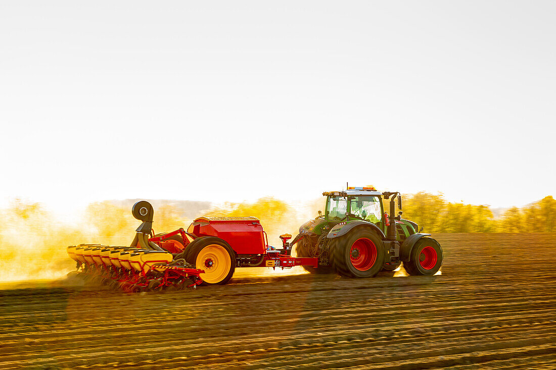 Traktor pflügt Feld im Frühling