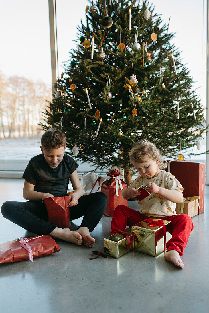 Bruder und Schwester öffnen Weihnachtsgeschenke unter dem Weihnachtsbaum