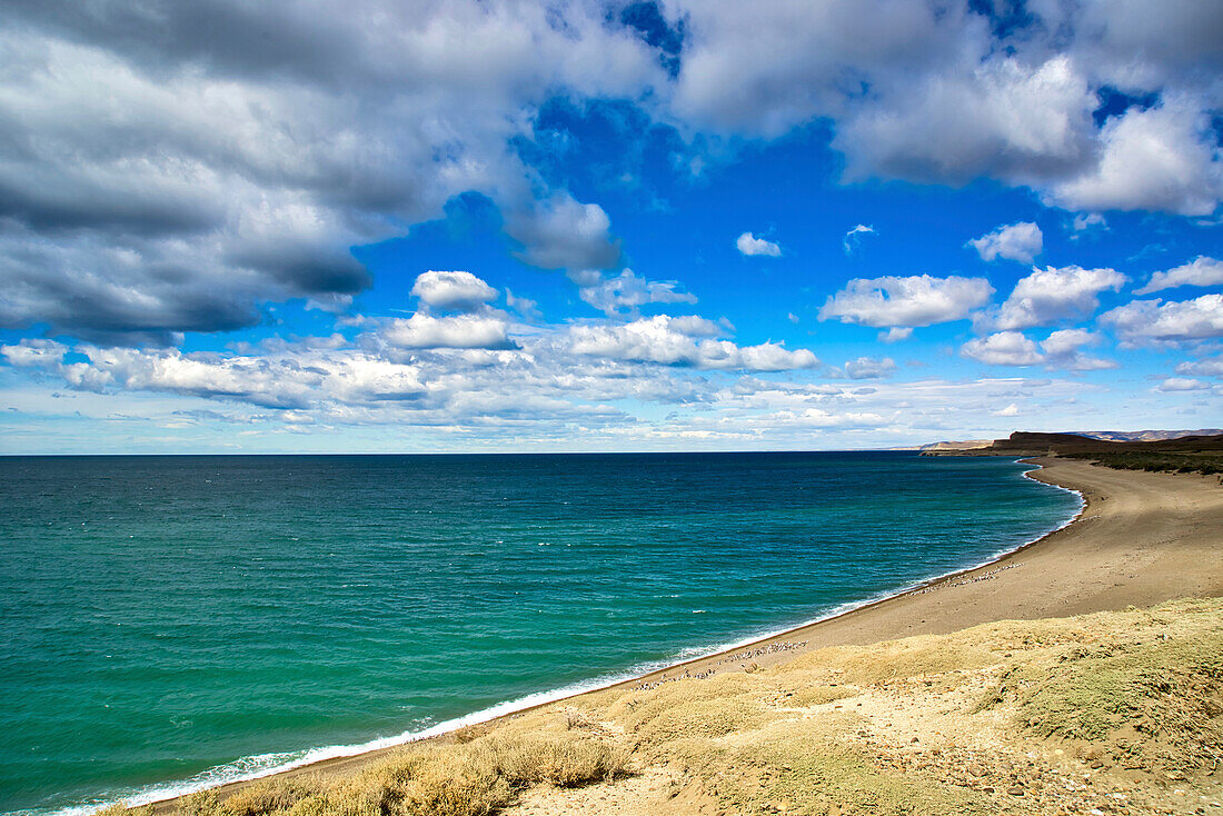Argentinien, Santa Cruz. Nationalpark Monte Leon, der einzige Küstenpark in Argentinien.