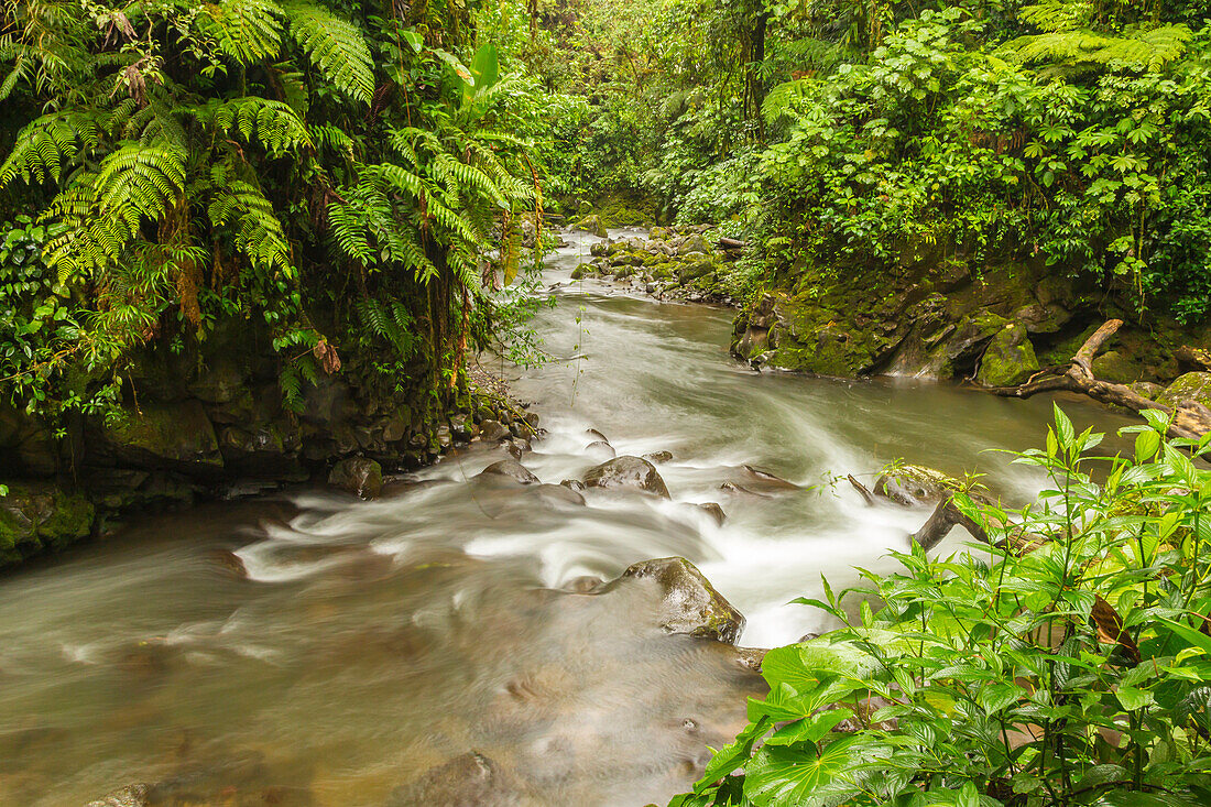 Costa Rica, La Paz Flusstal, La Paz Wasserfall Garten. Wasserfall und Bach im Regenwald