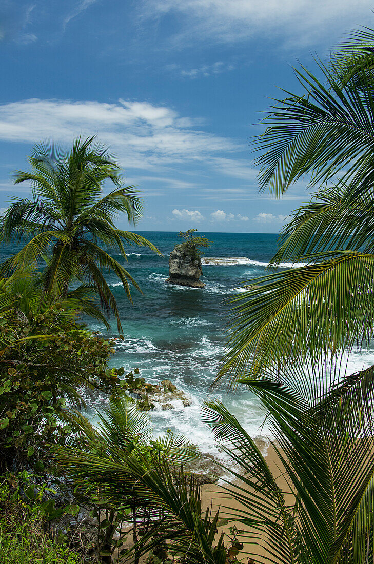 Abgelegener und einladender Strand im Manzanillo Wildlife Refuge, Costa Rica.