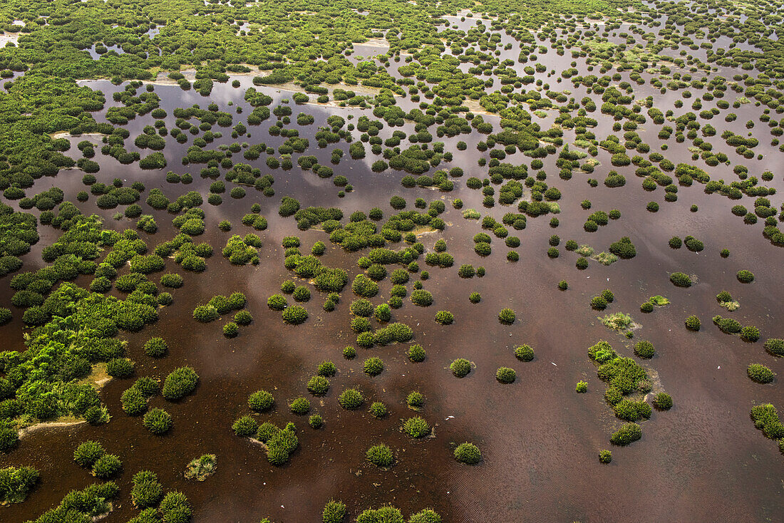 Feuchtgebiet Shell Beach, Nord-Guyana