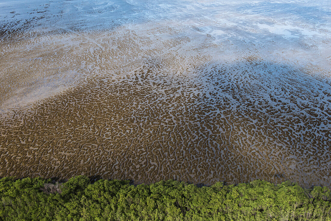 Mud patterns on beach. East Guyana