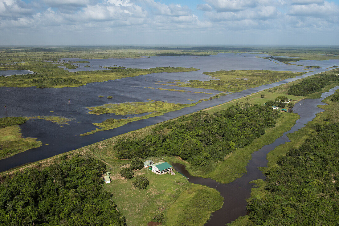 Feuchtgebiet MMA, Abari-Sümpfe, Mahaica Miconi Abari, Guyana