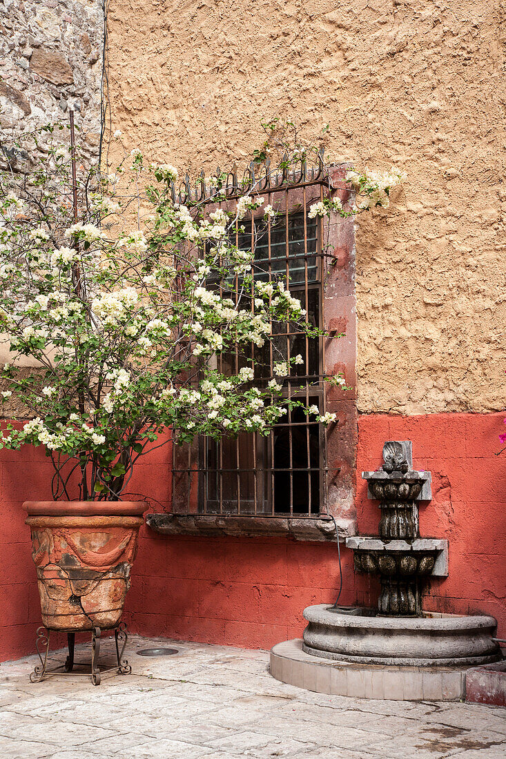 Mexico, San Miguel de Allende, courtyard in San Miguel de Allende