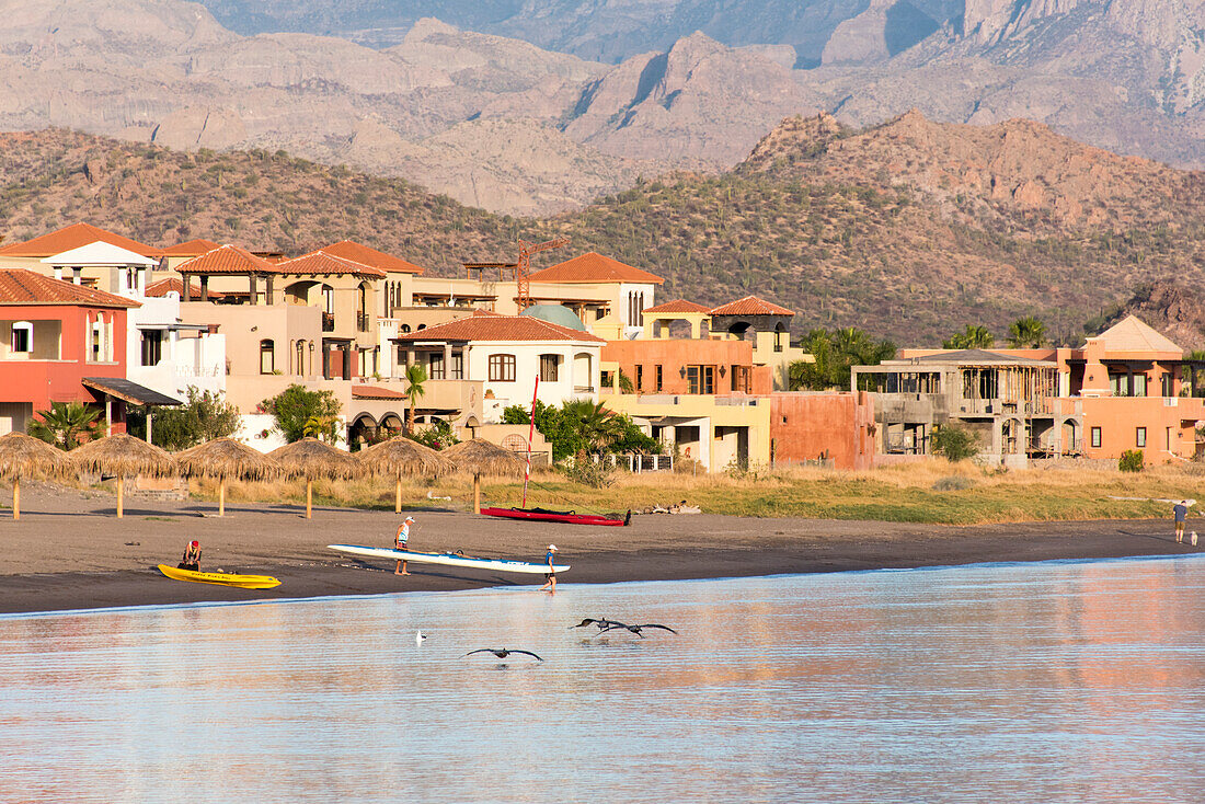 Mexico, Baja California Sur, Sea of Cortez, Loreto Bay. Early morning activity on beach at Loreto Bay Golf Resort and Spa