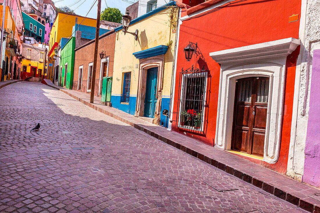 Red Pink Colorful Houses Narrow Street, Guanajuato, Mexico