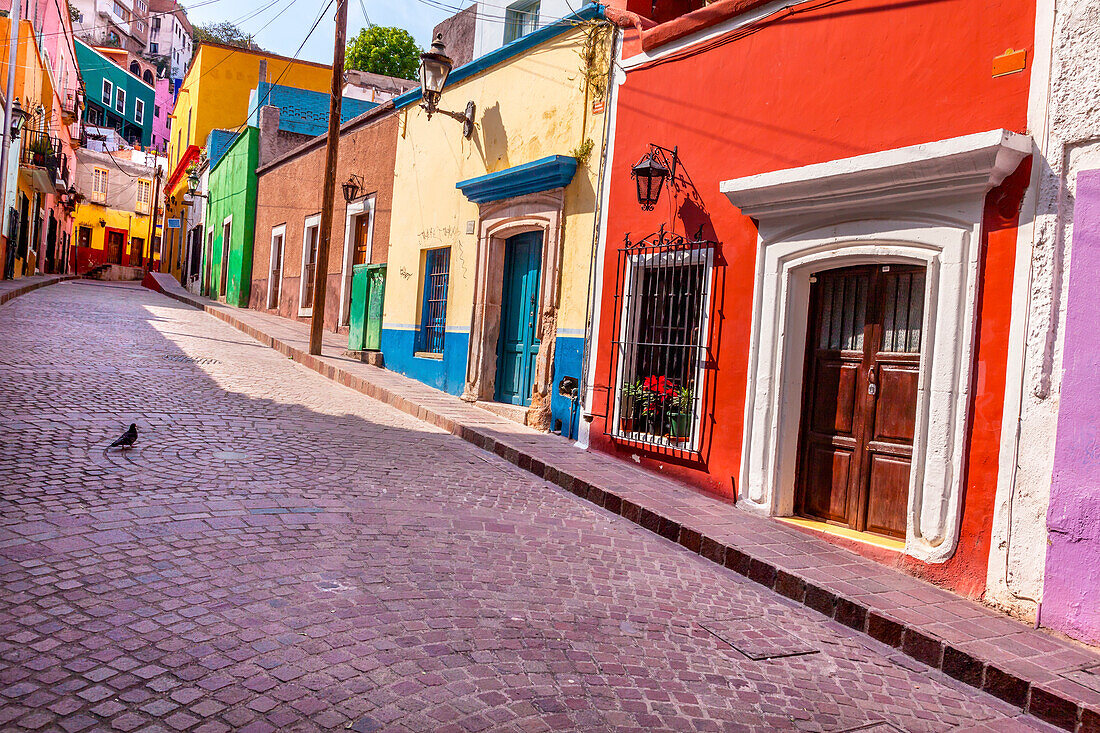 Rot-rosa bunte Häuser Enge Straße, Guanajuato, Mexiko