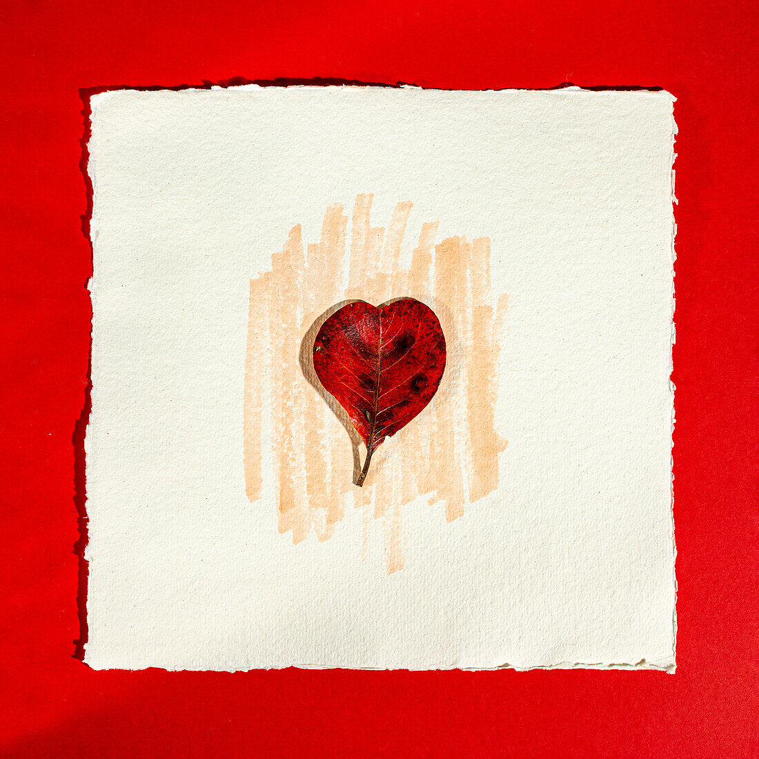 Red leaf in the shape of heart on watercolor paper